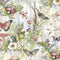 Birds and Butterflies