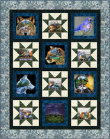 Quilting Renditions : Scattered Stars