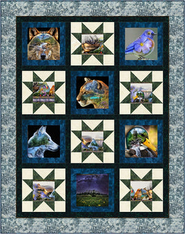 Quilting Renditions : Scattered Stars