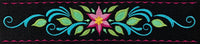 Pincushion :  Starflower