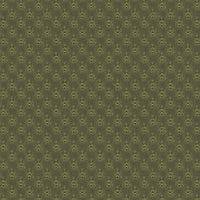 Ashton  : Teepees Green 1674-66