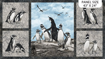 Stonehenge Magdalena Penguins 24" Panel