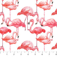 Flamingo Bay  : 24291-10 Flamingos