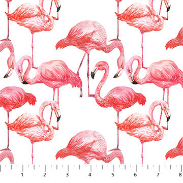 Flamingo Bay  : 24291-10 Flamingos