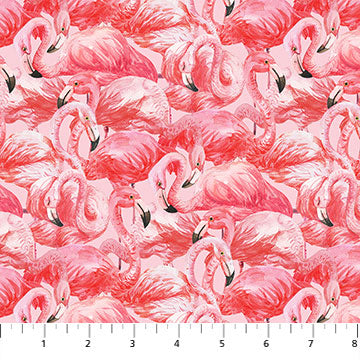 Flamingo Bay  : 24292-21 Packed Flamingos