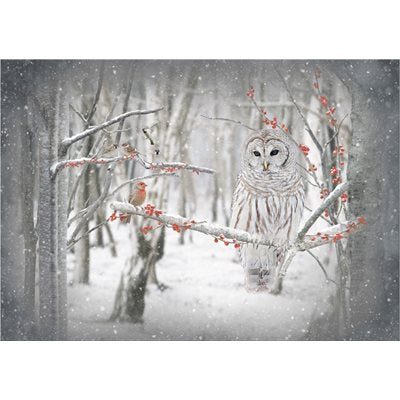 Hoffman Call Of The Wild : Birch Tree Snow Owl Panel