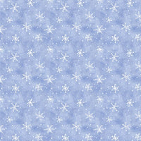 Snow What Fun : Snowflakes on Lt Blue 45159-401