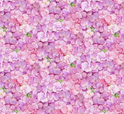 Hydrangea Petals - Pink