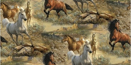 Independence Pass : Rocky Terrain