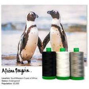 Aurifil 40wt Color Builder 2021  : African Penguin (Dec)