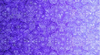 Bohemian Rhapsody : Purple Haze 26956-L