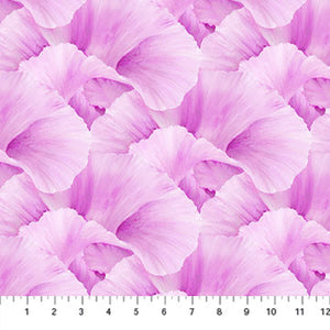 Lush Magenta : Light Flowers DP24192-26