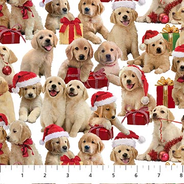 Golden Christmas : Pups On White DP25293-10