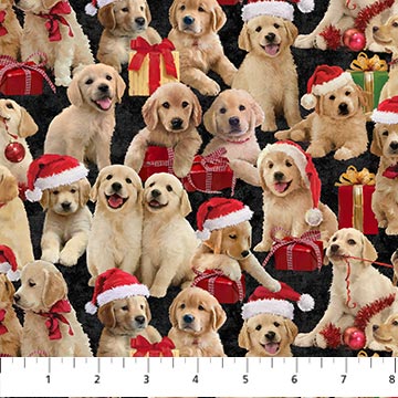 Golden Christmas : Pups On Black DP25293-99
