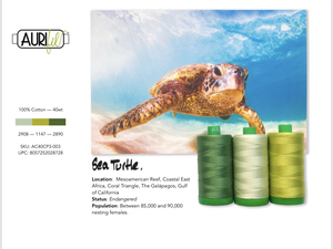 Aurifil 40wt Color Builder 2021  : Sea Turtle (Mar)