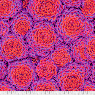 Kaffe Fassett : Succulent Red