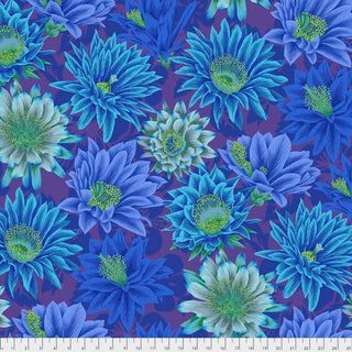 Kaffe Fassett : Cactus Flower in Blue PWPJ096.BLUE