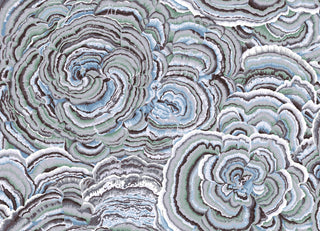 Kaffe Fassett : Tree Fungi 108