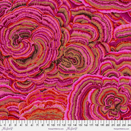 Kaffe Fassett : Tree Fungi 108" Backing QBPJ001.pink