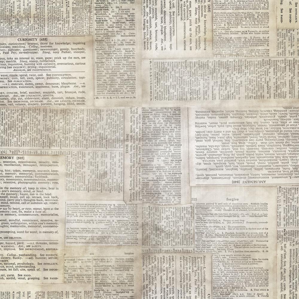 Tim Holtz  :  Dictionary 108" Wide Back