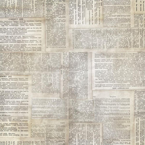 Tim Holtz  :  Dictionary 108" Wide Back