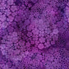 Rainbow of Jewels : Bloom Purple 4RJ1