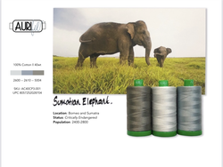 Aurifil 40wt Color Builder 2021  : Sumatran Elephant (Jan)